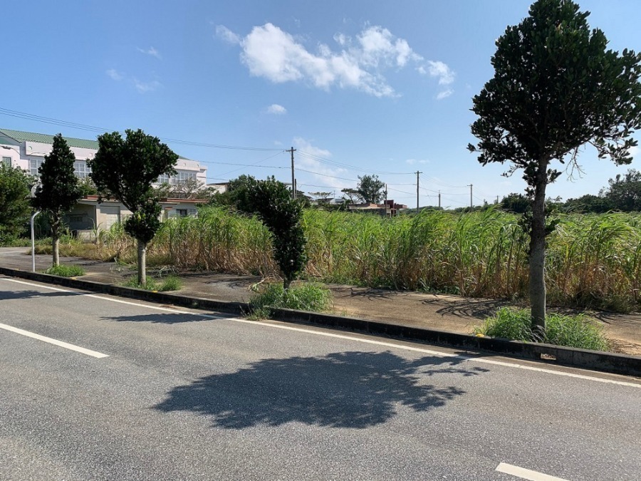 その他現地写真: