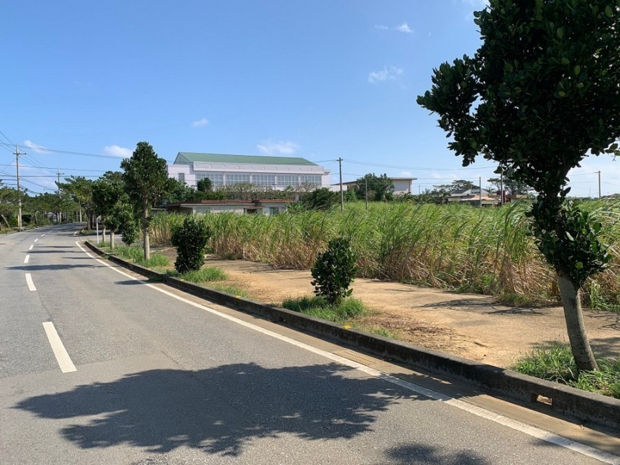 その他現地写真: